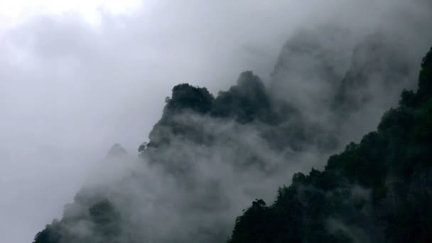 Το βουνό είναι καλυμμένο με πυκνή ομίχλη — Αρχείο Βίντεο