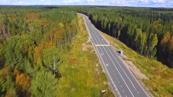 Estrada que passa entre a floresta — Vídeo de Stock