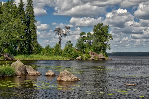 Fırtına bulutları ile Orman Gölü. Doğal peyzaj