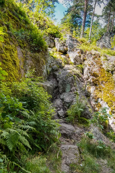 Sonbahar ağaçları ile kayalık tepe