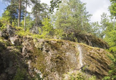 Yaz manzara - ile büyüyen bir kaya güneşli bir günde pines.