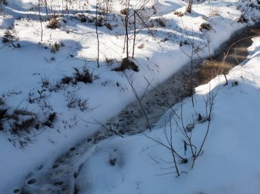 Kış manzarası. Güneşli kış günü ölü dereye