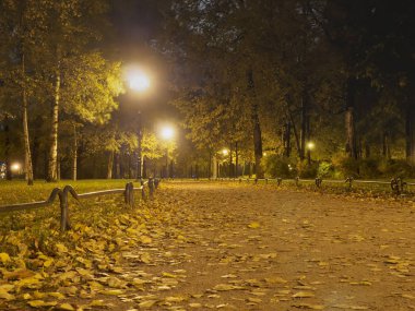 Gece parkında fenerler sokakları aydınlatır