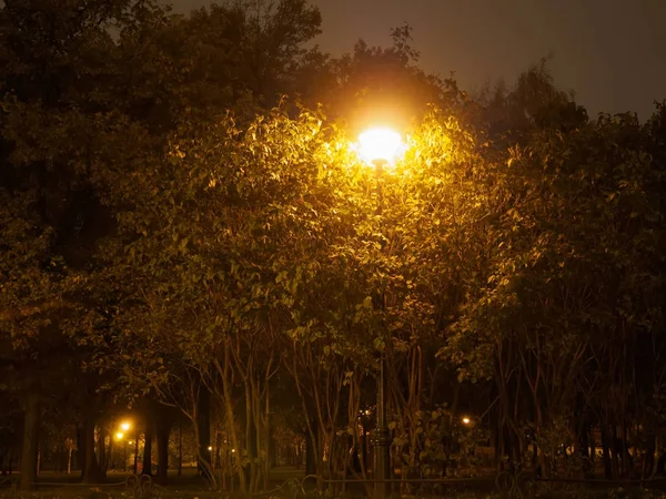 Gece parkında fenerler sokakları aydınlatır
