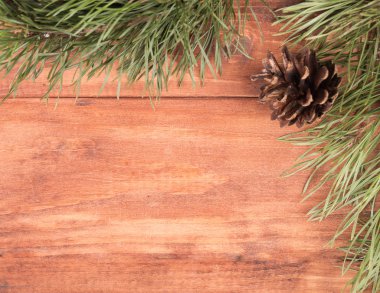 Çerçeve köknar şube ve diken üstünde ahşap arka plan yaptı.