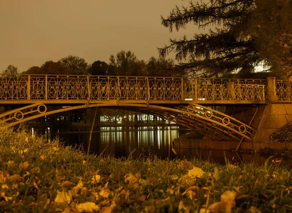 Parque noturno. ponte através do rio — Fotografia de Stock