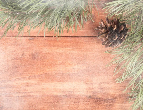 Çerçeve köknar şube ve diken üstünde ahşap arka plan yaptı.