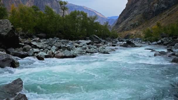 Řeka Mezi Stromy Horami Podzimní Hory Malá Horská Řeka — Stock video
