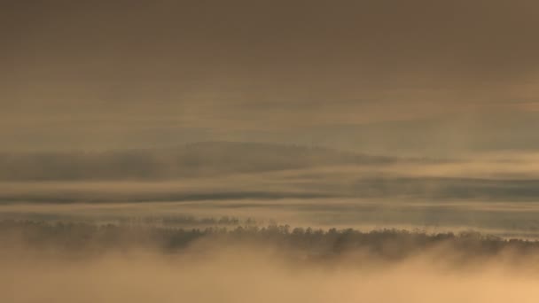 Ein Schöner Blick Auf Den Nebel Über Den Wald Und — Stockvideo