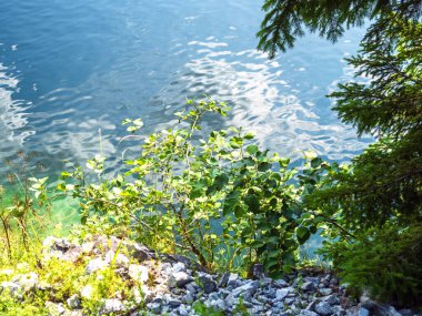 Mermer kireçtaşı kanyonunda güneşli bir gün