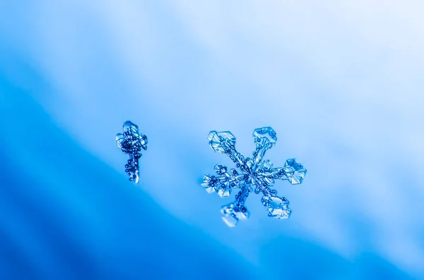 Cristal floco de neve macro natural — Fotografia de Stock