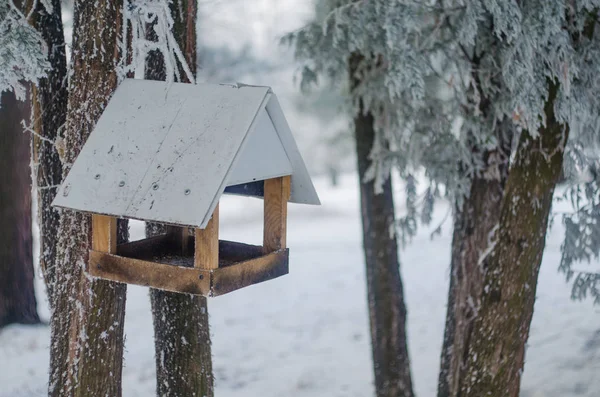 Alimentador para aves na floresta de inverno — Fotografia de Stock