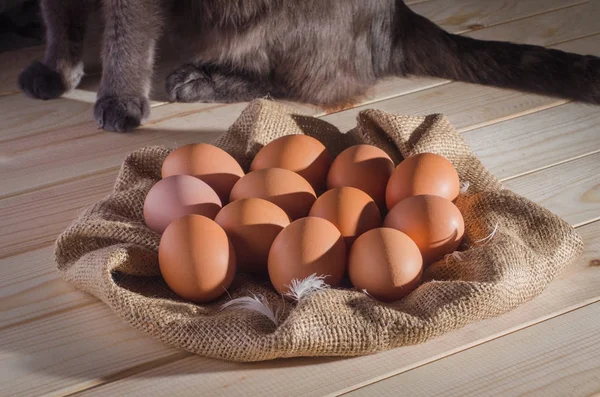 Ahşap bir masa ve bir kedi içinde belgili tanımlık geçmiş çuval bezi üzerinde kahverengi yumurta