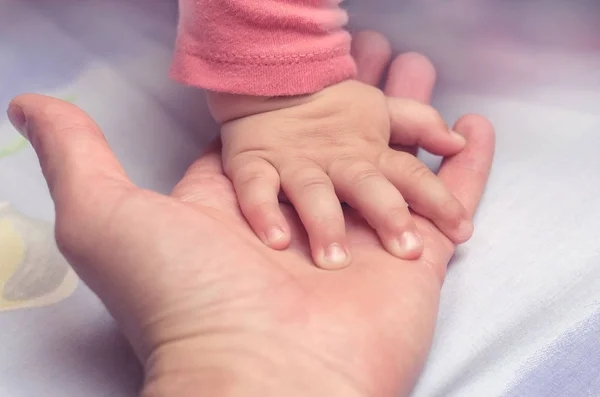 Ett litet barns hand med förälderns hand — Stockfoto