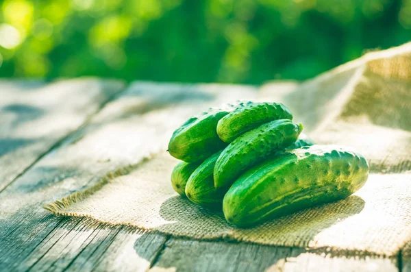 Ahşap bir masa üzerinde çuval bezi üzerinde yeşil salatalık — Stok fotoğraf