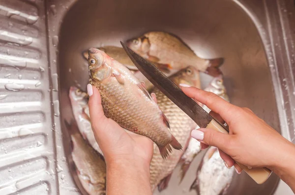 Gutting and cleaning of fish over the sink — Stock Image Gutting and cleaning of fish over the sink Stock Image