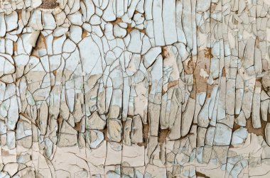 Eski bir ahşap zemine, doku soyulması beyaz boya