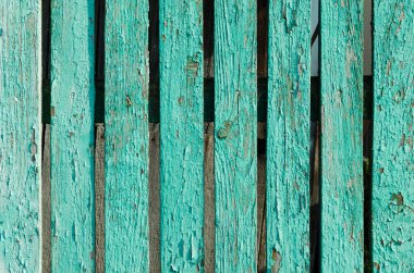 Yeşil boya ile boyanmış eski yönetim kurulu