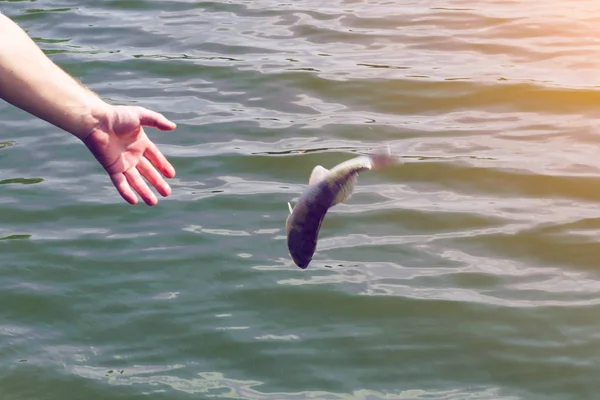 Balıkçı balık su verir.