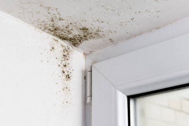 Plastik pencerelerin köşesindeki küf.