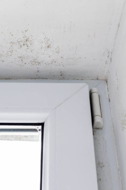 Plastik pencerelerin köşesindeki küf.