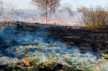 Kuru ot alanında yangın