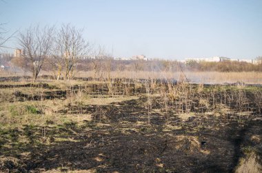 Kavrulmuş kuru ot alanında