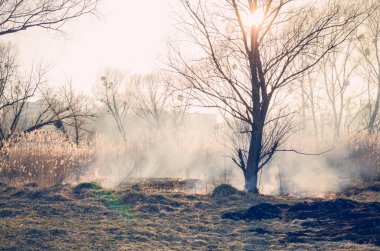 Kuru ot ateşleme. Yangın tehlikesi.