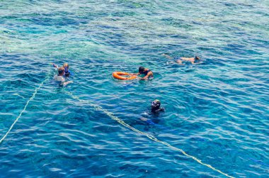 Sharm El Sheikh, Mısır, 8 Mayıs 2019: Şnorkelle yüzen insanlar açık mavi denizde yüzüyorlar