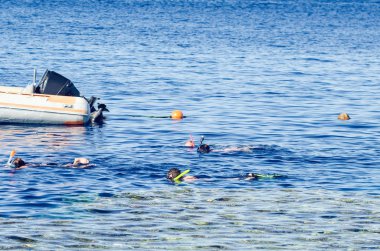 Şnorkelle yüzmek için maskeli insanlar bir mercan resifinin havuzunda yüzerler. Turist yaşam tarzı, su sporları