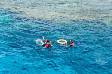 Sharm El Sheikh, Mısır, 8 Mayıs 2019: Şnorkelle yüzen insanlar açık mavi denizde yüzüyorlar