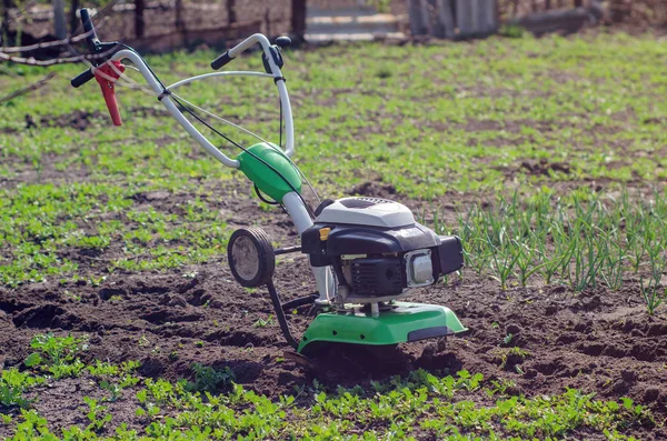 Cultivator for cultivating the soil in the garden — Stock Photo, Image