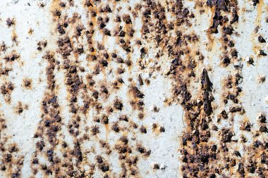 Kırık beyaz boyalı paslı metal duvar