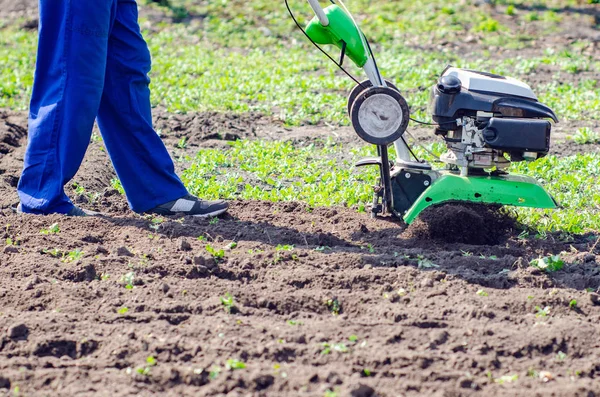 Un uomo aratura la terra con un coltivatore in un giardino primaverile — Foto Stock