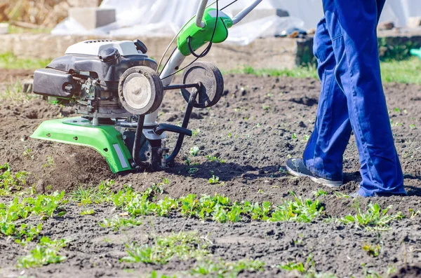 Un uomo aratura la terra con un coltivatore in un giardino primaverile — Foto Stock