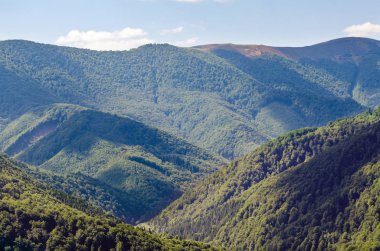 Orman yamaçları, dağ sıraları ve zirveleri olan Karpatya manzarası. Dağlarda tatiller