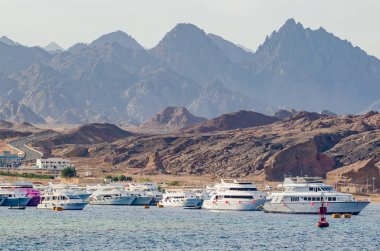 Şarm El-Şeyh limanındaki turist zevk tekneleri.