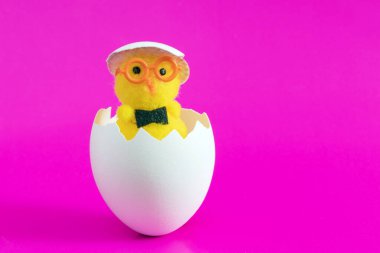 Pembe arka planda yumurta kabuğu içinde oyuncak tavuk.