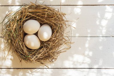 Bir yuvada üç beyaz tavuk yumurtası.