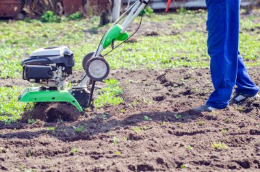 Bir adam bir bahar bahçesinde ekiciyle toprağı sürüyor..