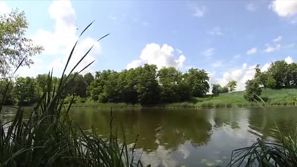 Timelapse Snelle Beweging Van Wolken Rivier — Stockvideo