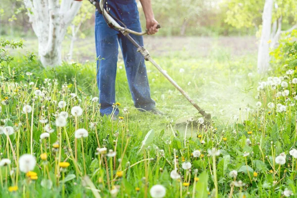 Jardinero Corta Hierba Con Una Podadora Jardín Primavera — Foto de Stock