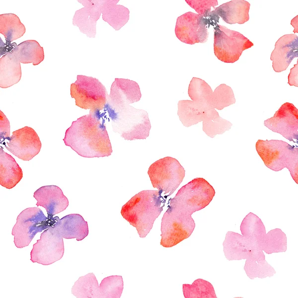 Suluboya çiçek arka plan kırmızı haşhaş ile