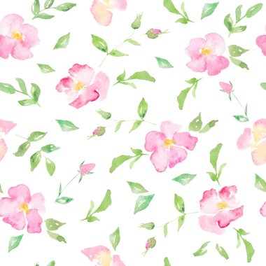 Suluboya çiçek arka plan ile pembe yaban gülü