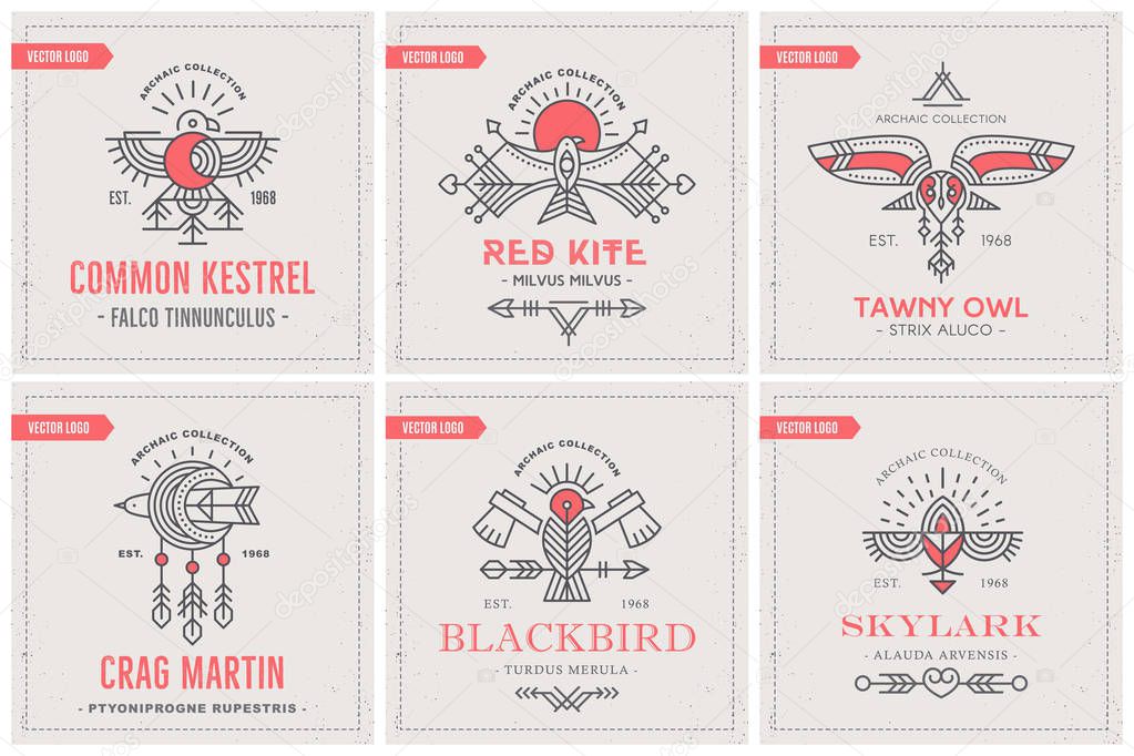 Flying Bird Logo design with decorative elements, geometric tribal archaic set of emblems. Collection of linear style vector templates for company concept, branding, heraldic design, tattoo, printing.