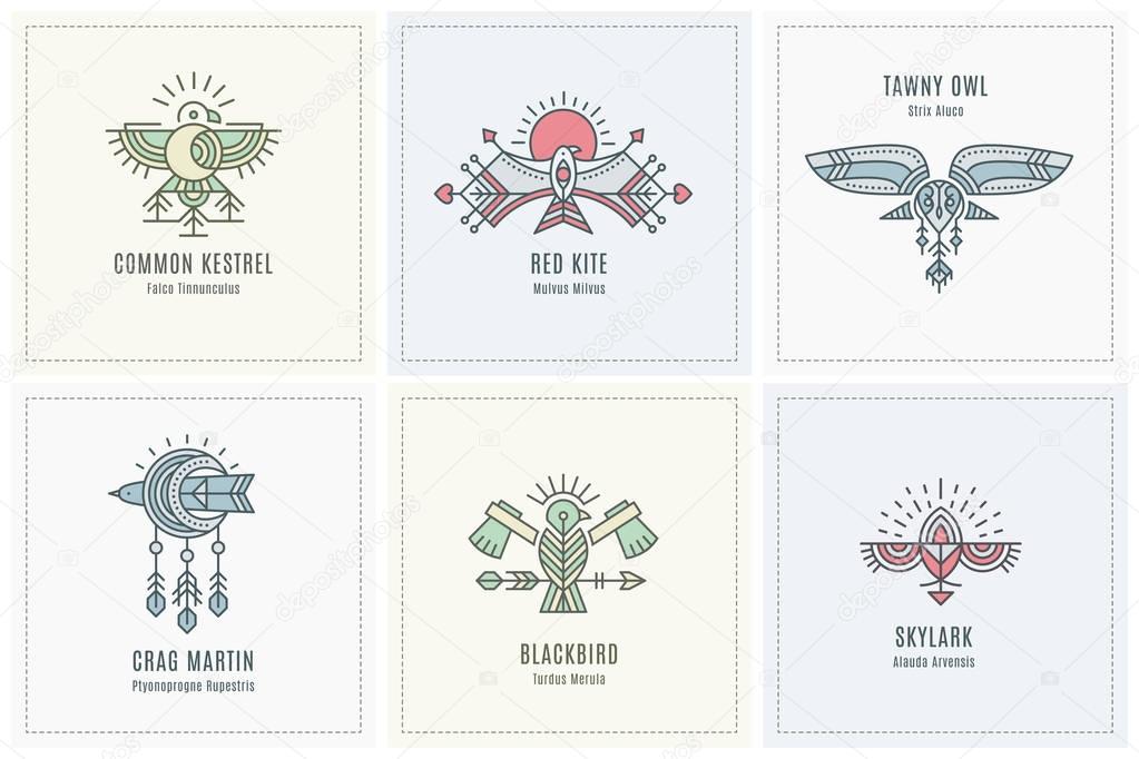 Set of flying Bird Logo design, geometric tribal archaic emblem. Linear style vector template for label. Colorful, pastel tints
