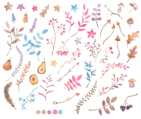 Set von Aquarell-Dezucker-Elementen - Blumen, trockene Kräuter, Früchte, Beeren und Pilze. — Stockfoto