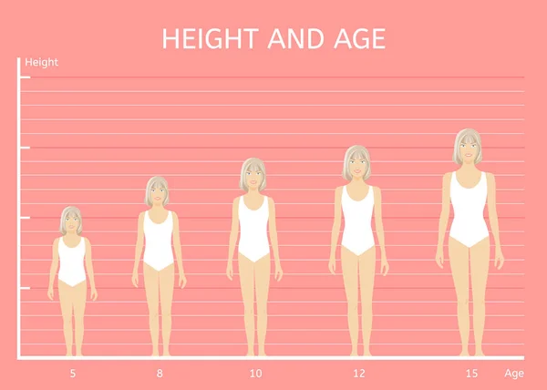 Ύψος και ηλικία των κοριτσιών. Παιδιά από διαφορετικό ύψος και την ηλικία — Διανυσματικό Αρχείο