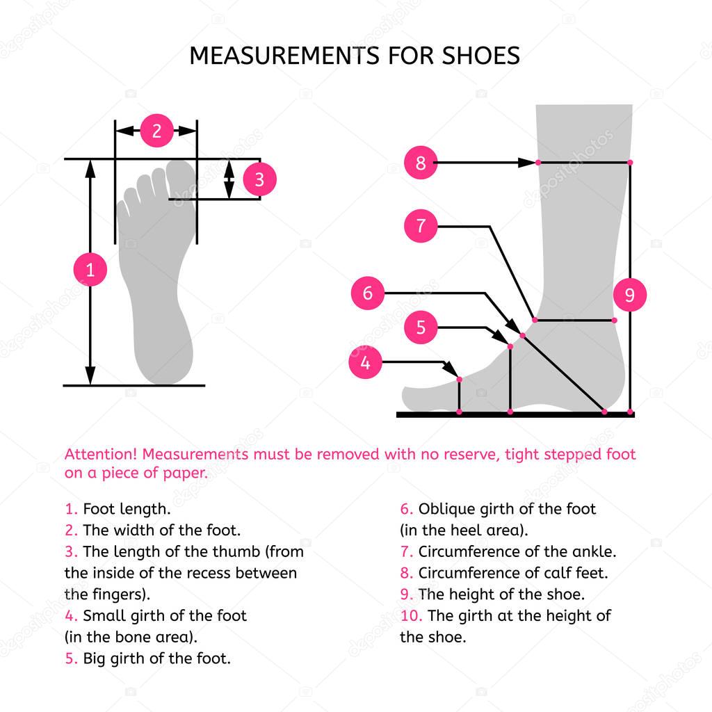 Measurements for the manufacture of footwear. 
