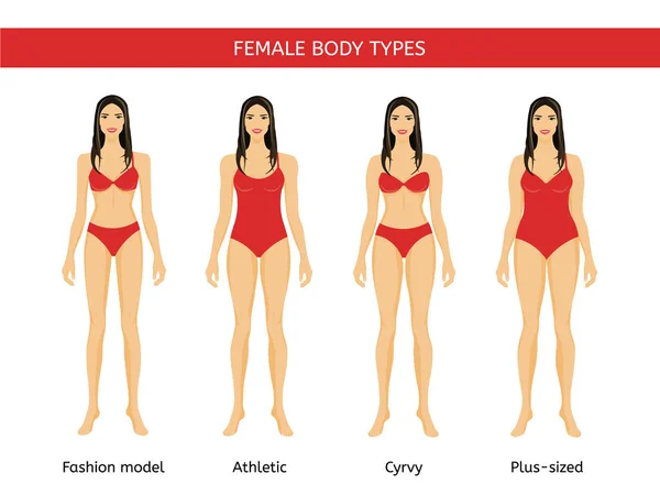 Ensemble de types de corps féminin : modèle de mode, athlétique, courbé et taille plus — Image vectorielle